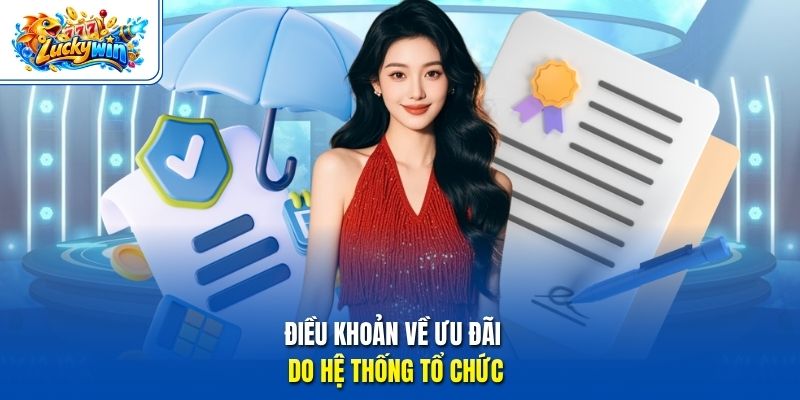 Điều khoản về ưu đãi do hệ thống tổ chức