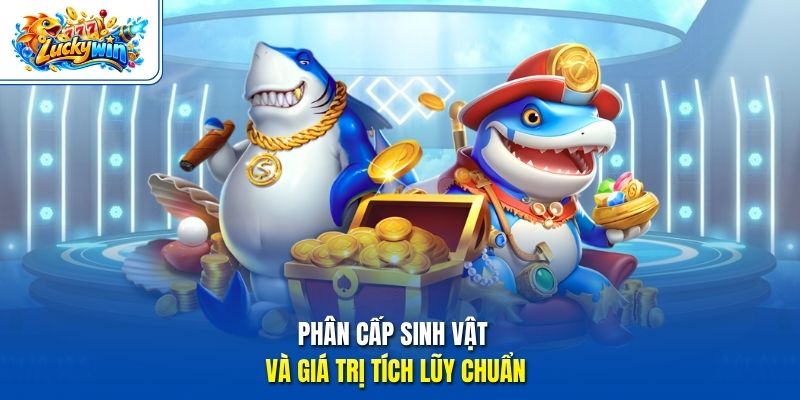 Phân cấp sinh vật và giá trị tích lũy chuẩn